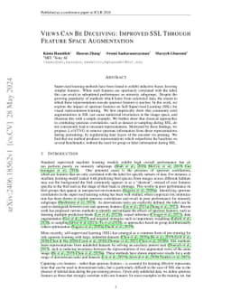 Views Can Be Deceiving: Improved SSL Through Feature Space Augmentation