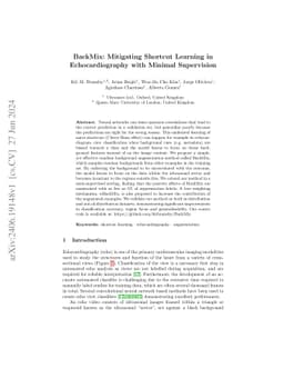 BackMix: Mitigating Shortcut Learning in Echocardiography with Minimal
  Supervision