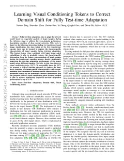 Learning Visual Conditioning Tokens to Correct Domain Shift for Fully
  Test-time Adaptation