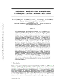 Fibottention: Inceptive Visual Representation Learning with Diverse
  Attention Across Heads