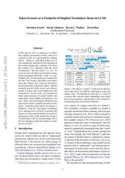 Token Erasure as a Footprint of Implicit Vocabulary Items in LLMs