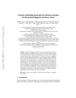 Location embedding based pairwise distance learning for fine-grained
  diagnosis of urinary stones