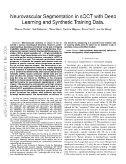 Neurovascular Segmentation in sOCT with Deep Learning and Synthetic
  Training Data