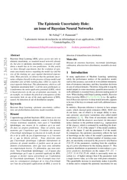The Epistemic Uncertainty Hole: an issue of Bayesian Neural Networks