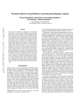 Practical Guide for Causal Pathways and Sub-group Disparity Analysis