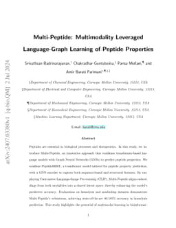 Multi-Peptide: Multimodality Leveraged Language-Graph Learning of
  Peptide Properties