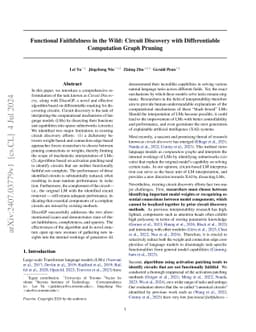 Functional Faithfulness in the Wild: Circuit Discovery with
  Differentiable Computation Graph Pruning