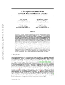 Looking for Tiny Defects via Forward-Backward Feature Transfer