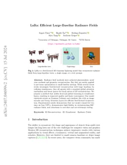 LaRa: Efficient Large-Baseline Radiance Fields
