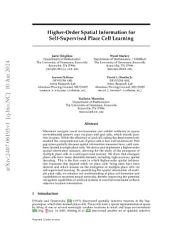 Higher-Order Spatial Information for Self-Supervised Place Cell Learning