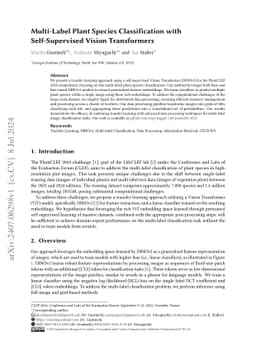 Multi-Label Plant Species Classification with Self-Supervised Vision
  Transformers