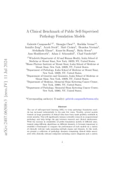 A Clinical Benchmark of Public Self-Supervised Pathology Foundation
  Models