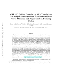 CTRL-F: Pairing Convolution with Transformer for Image Classification
  via Multi-Level Feature Cross-Attention and Representation Learning Fusion