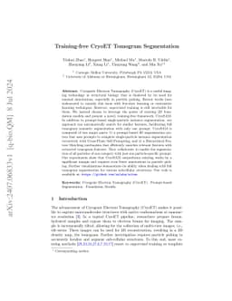 Training-free CryoET Tomogram Segmentation