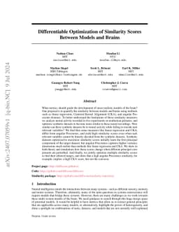 Differentiable Optimization of Similarity Scores Between Models and Brains
