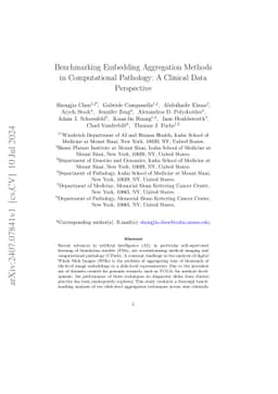 Benchmarking Embedding Aggregation Methods in Computational Pathology: A
  Clinical Data Perspective