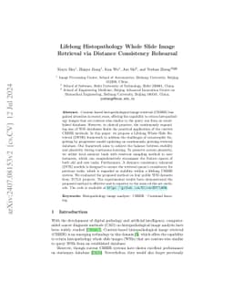 Lifelong Histopathology Whole Slide Image Retrieval via Distance
  Consistency Rehearsal