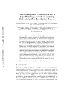 Unveiling Disparities in Maternity Care: A Topic Modelling Approach to
  Analysing Maternity Incident Investigation Reports