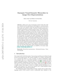 Emergent Visual-Semantic Hierarchies in Image-Text Representations