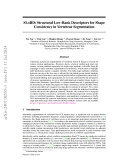 SLoRD: Structural Low-Rank Descriptors for Shape Consistency in
  Vertebrae Segmentation