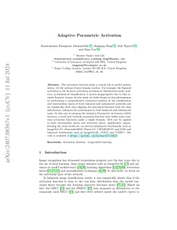 Adaptive Parametric Activation