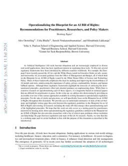 Operationalizing the Blueprint for an AI Bill of Rights: Recommendations
  for Practitioners, Researchers, and Policy Makers