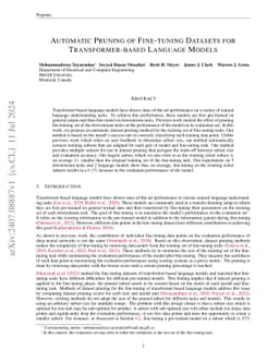 Automatic Pruning of Fine-tuning Datasets for Transformer-based Language
  Models