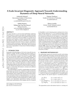 A Scale-Invariant Diagnostic Approach Towards Understanding Dynamics of
  Deep Neural Networks