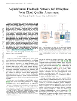 Asynchronous Feedback Network for Perceptual Point Cloud Quality
  Assessment
