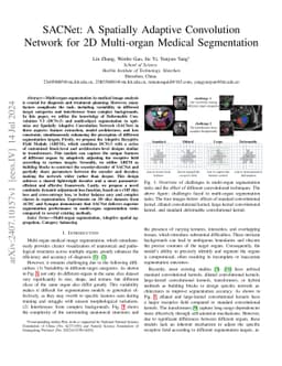 SACNet: A Spatially Adaptive Convolution Network for 2D Multi-organ Medical Segmentation