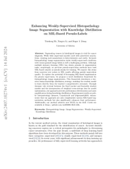 Enhancing Weakly-Supervised Histopathology Image Segmentation with
  Knowledge Distillation on MIL-Based Pseudo-Labels