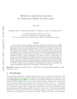 ERM-Lasso classification algorithm for Multivariate Hawkes Processes
  paths
