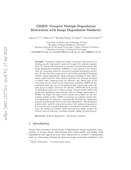GRIDS: Grouped Multiple-Degradation Restoration with Image Degradation
  Similarity