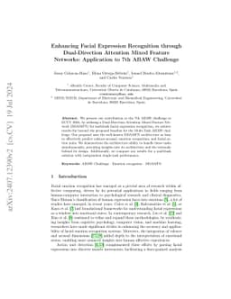 Enhancing Facial Expression Recognition through Dual-Direction Attention
  Mixed Feature Networks: Application to 7th ABAW Challenge