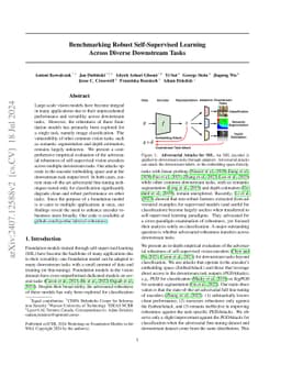 Benchmarking Robust Self-Supervised Learning Across Diverse Downstream
  Tasks