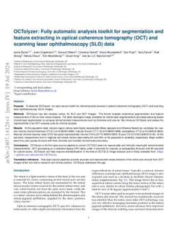 OCTolyzer: Fully automatic toolkit for segmentation and feature extracting in optical coherence tomography and scanning laser ophthalmoscopy data