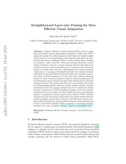 Straightforward Layer-wise Pruning for More Efficient Visual Adaptation