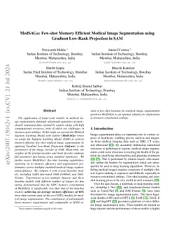 MedSAGa: Few-shot Memory Efficient Medical Image Segmentation using
  Gradient Low-Rank Projection in SAM