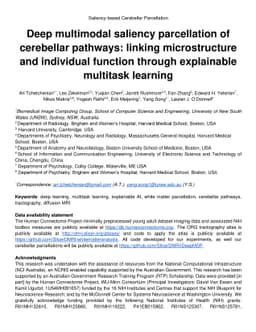 Deep multimodal saliency parcellation of cerebellar pathways: linking
  microstructure and individual function through explainable multitask learning