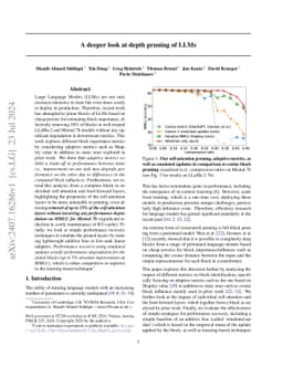 A deeper look at depth pruning of LLMs