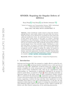 SINDER: Repairing the Singular Defects of DINOv2