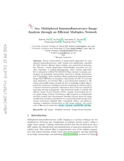 Mew: Multiplexed Immunofluorescence Image Analysis through an Efficient
  Multiplex Network