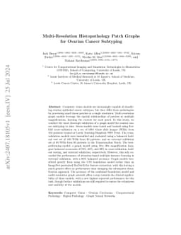 Multi-Resolution Histopathology Patch Graphs for Ovarian Cancer
  Subtyping