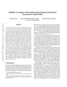 MARINE: A Computer Vision Model for Detecting Rare Predator-Prey
  Interactions in Animal Videos