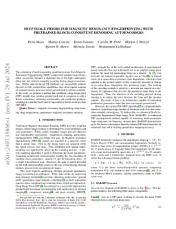 Deep Image Priors for Magnetic Resonance Fingerprinting with pretrained
  Bloch-consistent denoising autoencoders