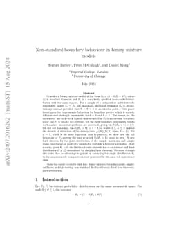Non-standard boundary behaviour in binary mixture models