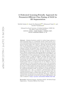 A Federated Learning-Friendly Approach for Parameter-Efficient
  Fine-Tuning of SAM in 3D Segmentation