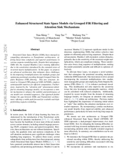 Enhanced Structured State Space Models via Grouped FIR Filtering and
  Attention Sink Mechanisms