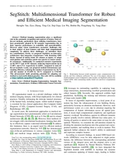 SegStitch: Multidimensional Transformer for Robust and Efficient Medical
  Imaging Segmentation