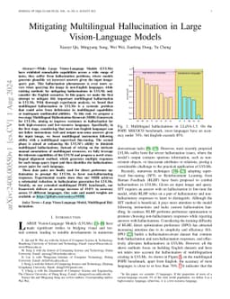 Mitigating Multilingual Hallucination in Large Vision-Language Models